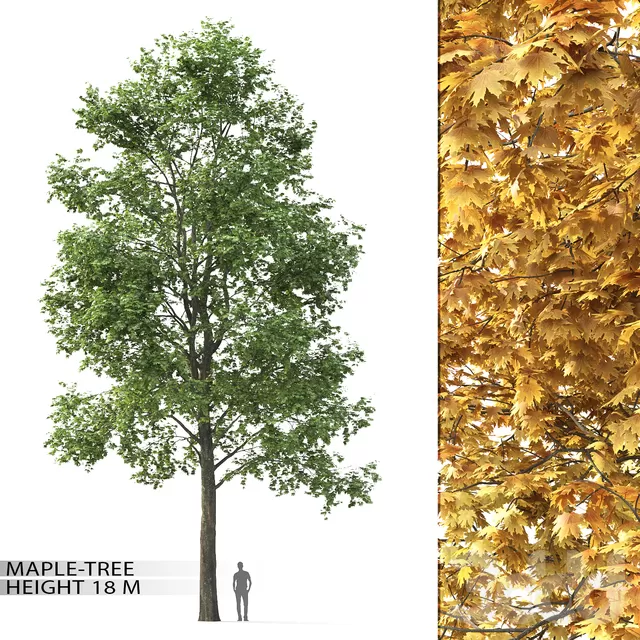 3DSKY PRO MODEL - PLANT 3D MODELS