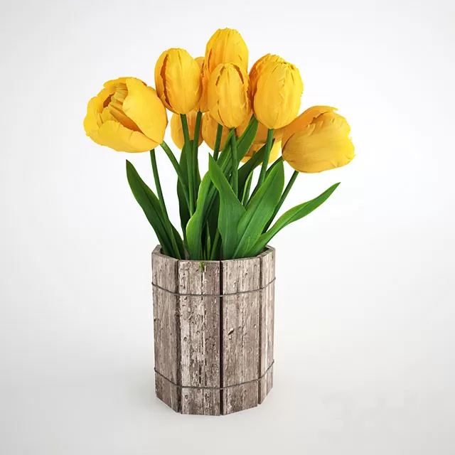 3DSKY PRO MODEL - PLANT 3D MODELS