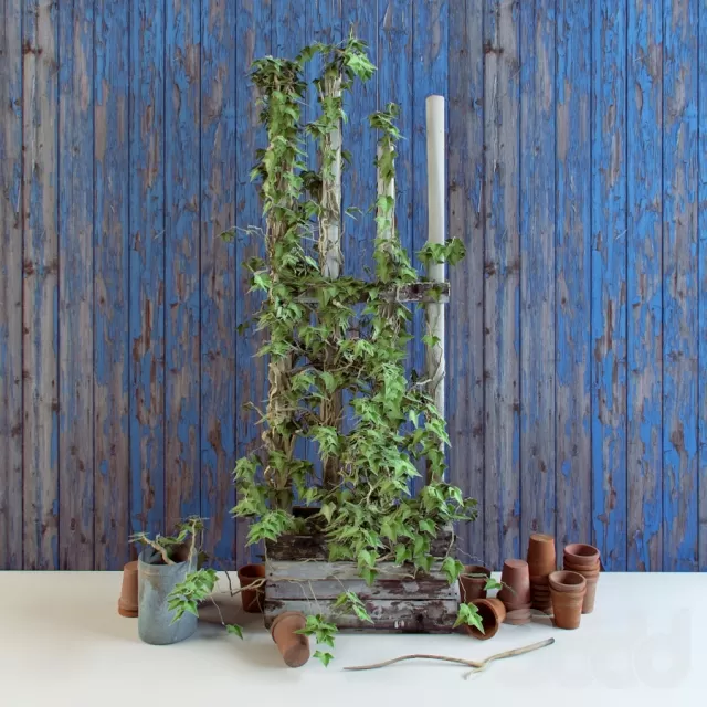 3DSKY PRO MODEL - PLANT 3D MODELS