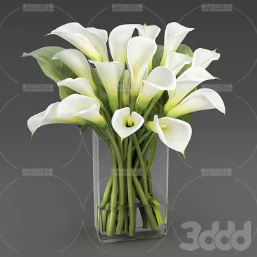3DSKY PRO MODEL - PLANT 3D MODELS