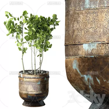 3DSKY PRO MODEL - PLANT 3D MODELS