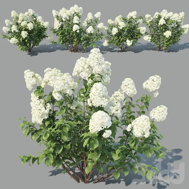 3DSKY PRO MODEL - PLANT 3D MODELS