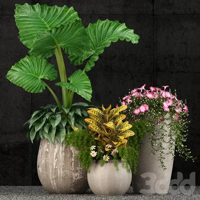 3DSKY PRO MODEL - PLANT 3D MODELS