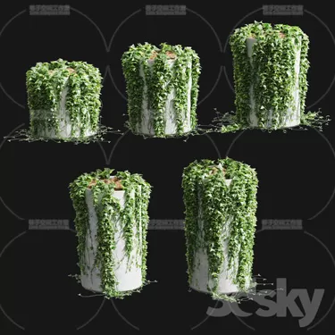 3DSKY PRO MODEL - PLANT 3D MODELS