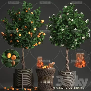 3DSKY PRO MODEL - PLANT 3D MODELS