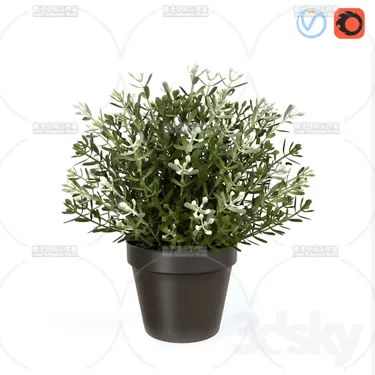 3DSKY PRO MODEL - PLANT 3D MODELS