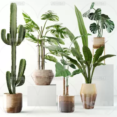 3DSKY PRO MODEL - PLANT 3D MODELS