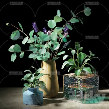 3DSKY PRO MODEL - PLANT 3D MODEL 