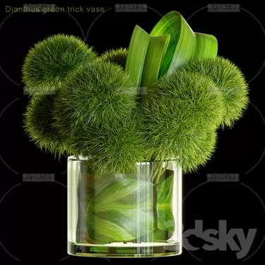 3DSKY PRO MODEL - PLANT 3D MODELS