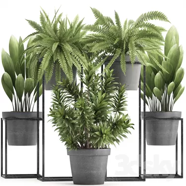 3DSKY PRO MODEL - PLANT 3D MODELS