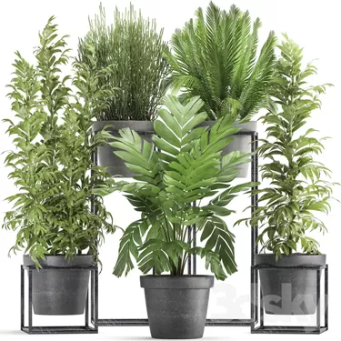 3DSKY PRO MODEL - PLANT 3D MODELS