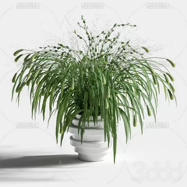 3DSKY PRO MODEL - PLANT 3D MODELS
