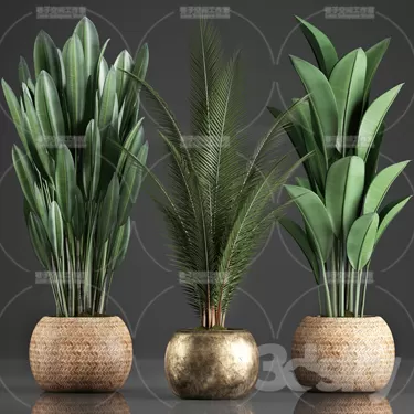 3DSKY PRO MODEL - PLANT 3D MODELS