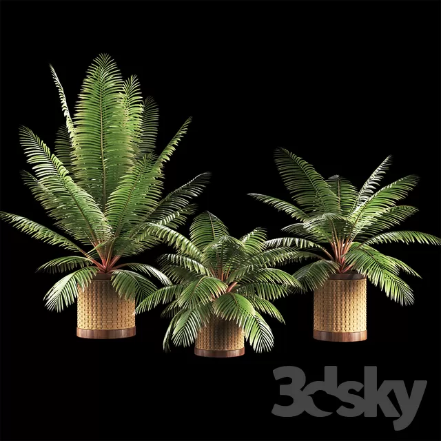 3DSKY PRO MODEL - PLANT 3D MODELS