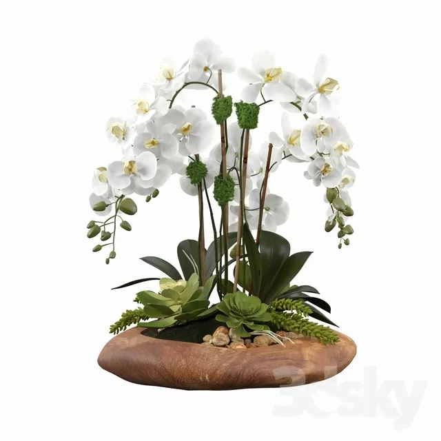 3DSKY PRO MODEL - PLANT 3D MODELS