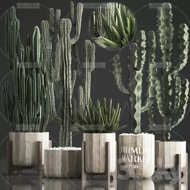 3DSKY PRO MODEL - PLANT 3D MODELS