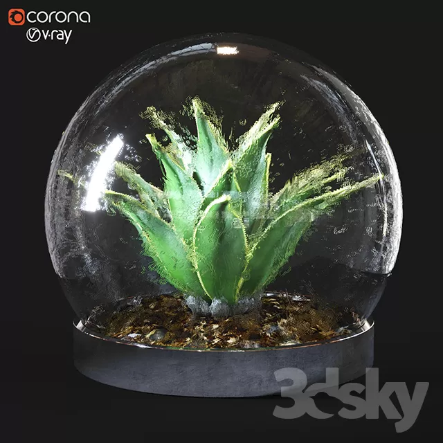 3DSKY PRO MODEL - PLANT 3D MODELS