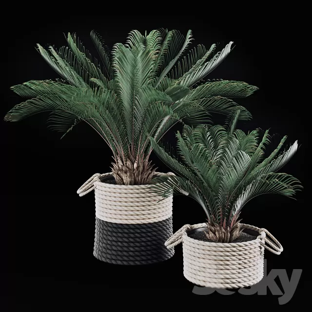 3DSKY PRO MODEL - PLANT 3D MODELS