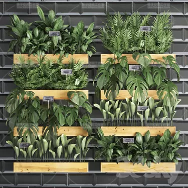 3DSKY PRO MODEL - PLANT 3D MODELS