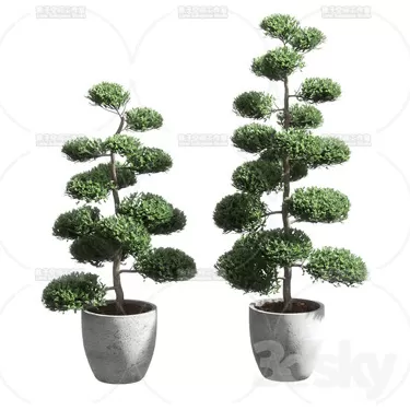 3DSKY PRO MODEL - PLANT 3D MODELS