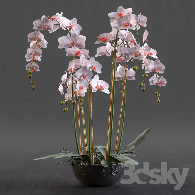 3DSKY PRO MODEL - PLANT 3D MODELS