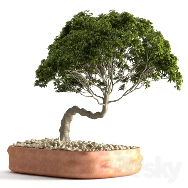 3DSKY PRO MODEL - PLANT 3D MODELS