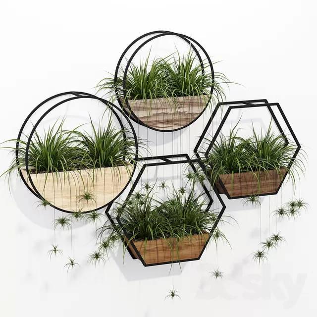 PLANT 3D MODELS – FLOWER 3D MODELS – 315