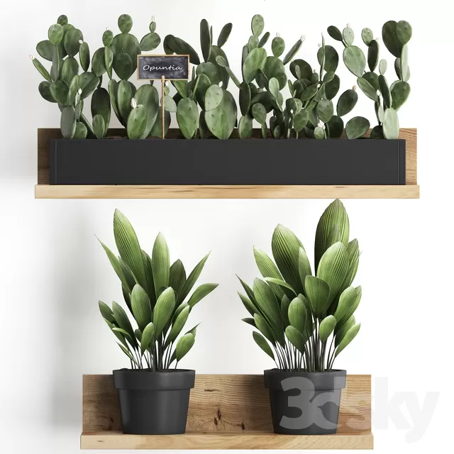 3DSKY PRO MODEL - PLANT 3D MODELS