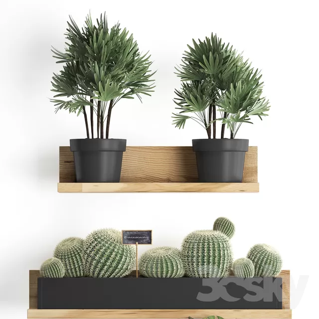 3DSKY PRO MODEL - PLANT 3D MODELS