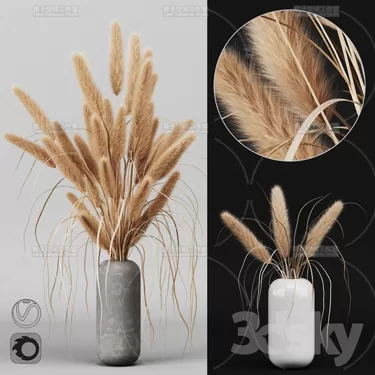 3DSKY PRO MODEL - PLANT 3D MODELS