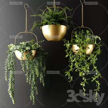3DSKY PRO MODEL - PLANT 3D MODELS