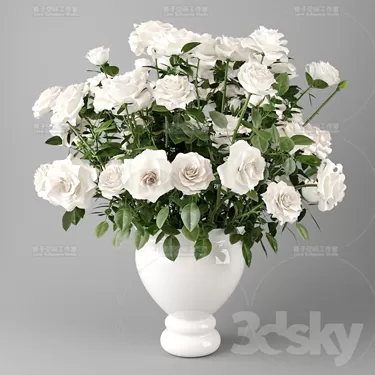 3DSKY PRO MODEL - PLANT 3D MODELS
