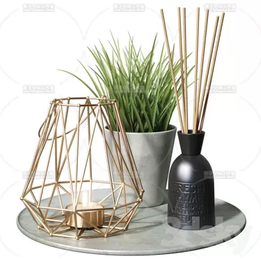 3DSKY PRO MODEL - PLANT 3D MODELS