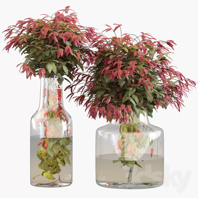 3DSKY PRO MODEL - PLANT 3D MODELS