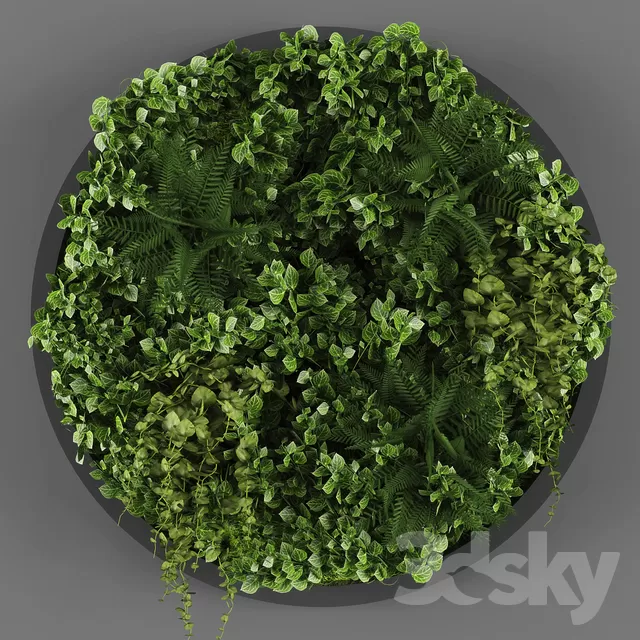 3DSKY PRO MODEL - PLANT 3D MODEL 
