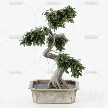 3DSKY PRO MODEL - PLANT 3D MODELS