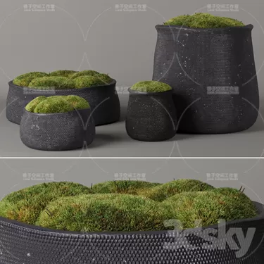 3DSKY PRO MODEL - PLANT 3D MODELS
