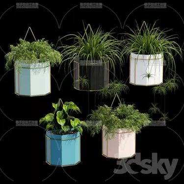 3DSKY PRO MODEL - PLANT 3D MODELS