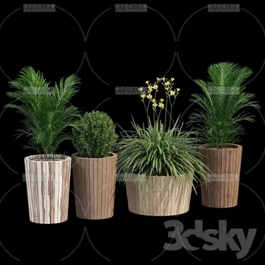 3DSKY PRO MODEL - PLANT 3D MODELS