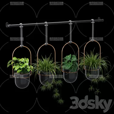 3DSKY PRO MODEL - PLANT 3D MODELS