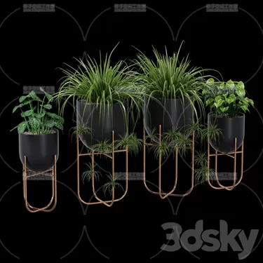3DSKY PRO MODEL - PLANT 3D MODELS