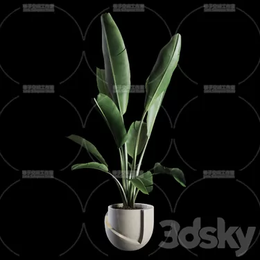 3DSKY PRO MODEL - PLANT 3D MODELS