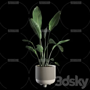 3DSKY PRO MODEL - PLANT 3D MODELS
