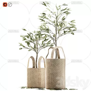 3DSKY PRO MODEL - PLANT 3D MODELS