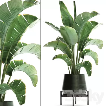 3DSKY PRO MODEL - PLANT 3D MODELS