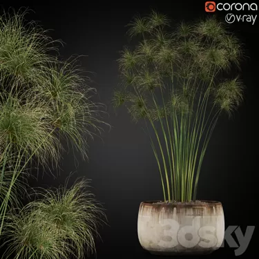 3DSKY PRO MODEL - PLANT 3D MODELS