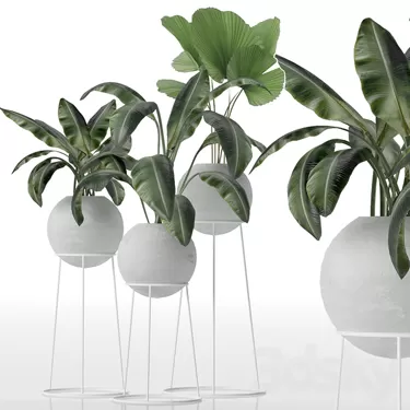 3DSKY PRO MODEL - PLANT 3D MODELS