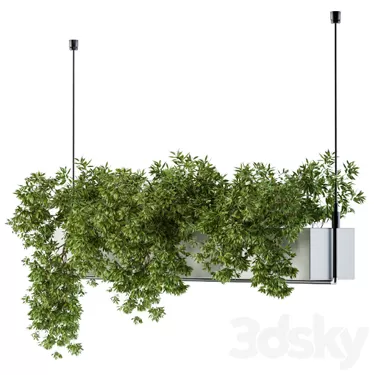 3DSKY PRO MODEL - PLANT 3D MODELS