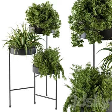 3DSKY PRO MODEL - PLANT 3D MODELS