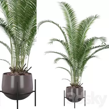 3DSKY PRO MODEL - PLANT 3D MODELS